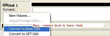Convert Dynamic Disk to Basic