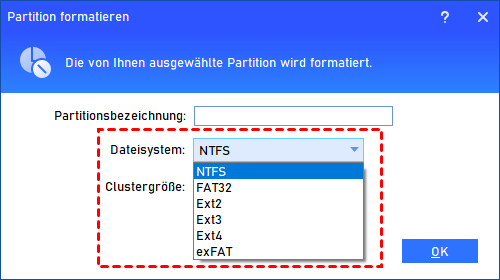 RAW in NTFS formatieren