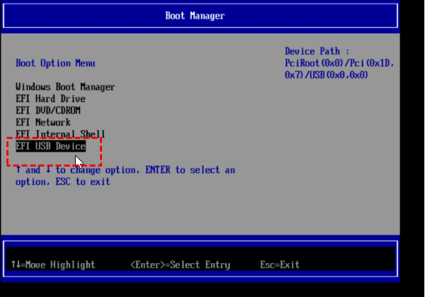 Server Boot Manager