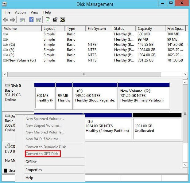 Server unable to convert to GPT disk management