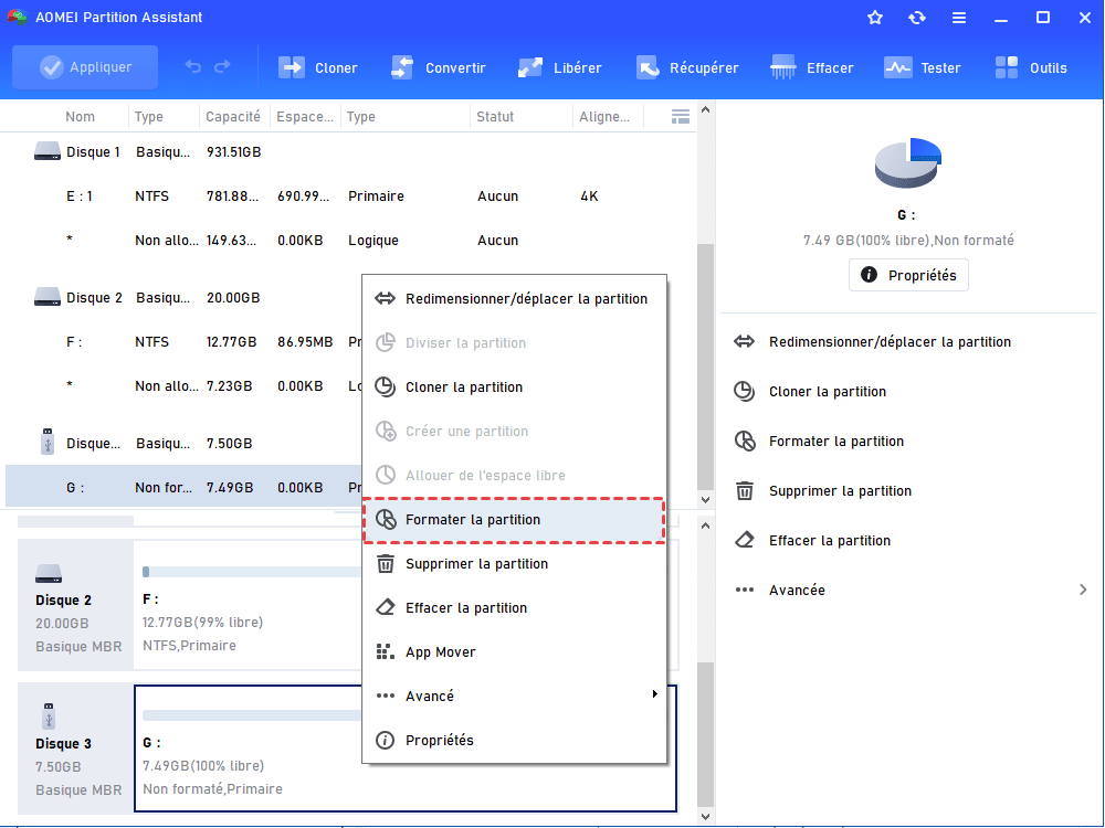 Format RAW Partition
